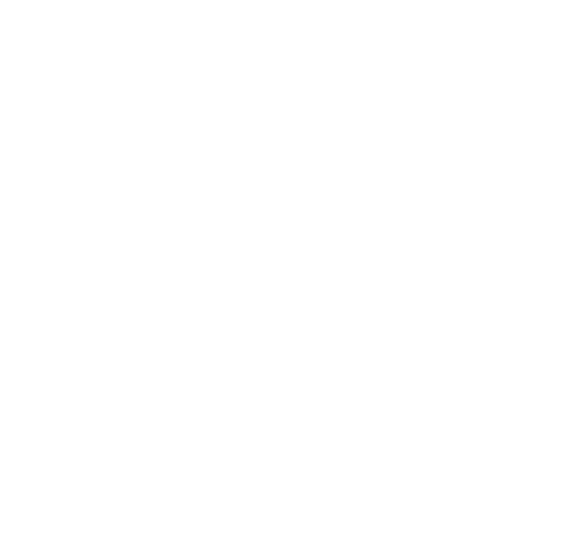 Copy of AMN Plumbing LOGO white font e1757963150338