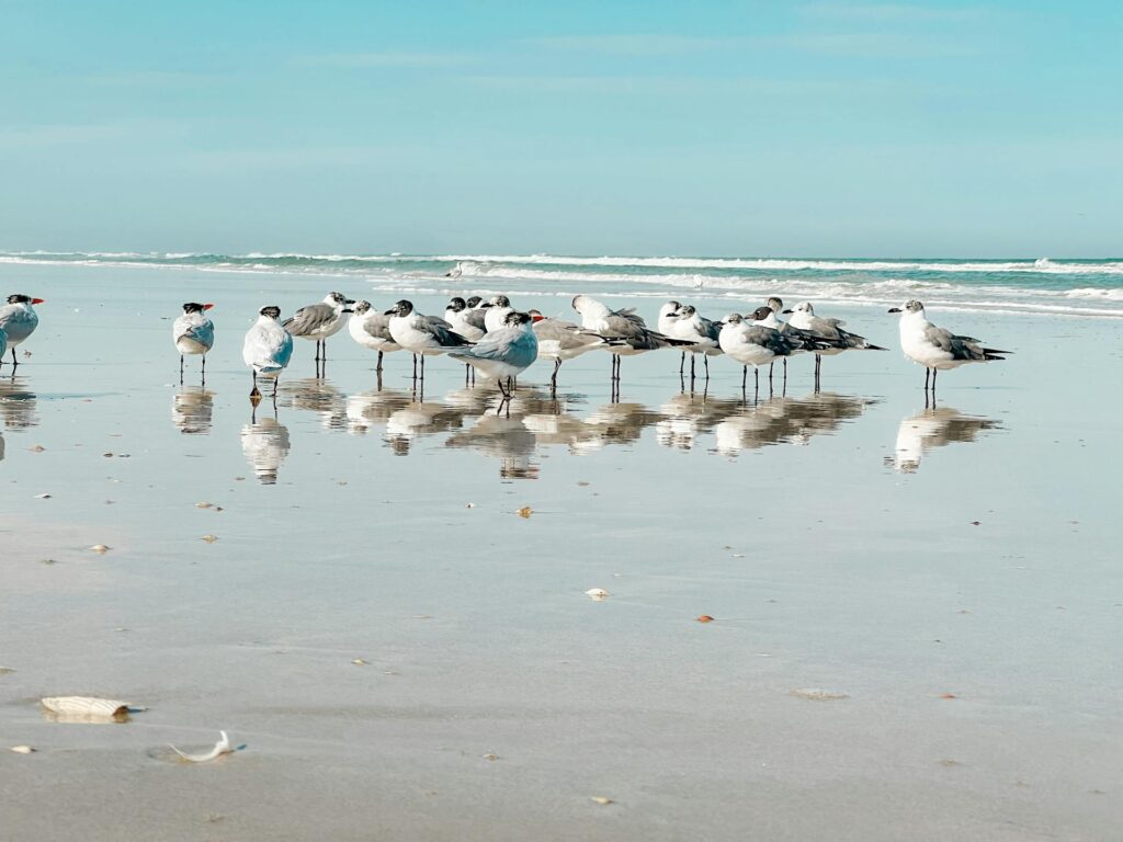plumber in new smyrna beach
