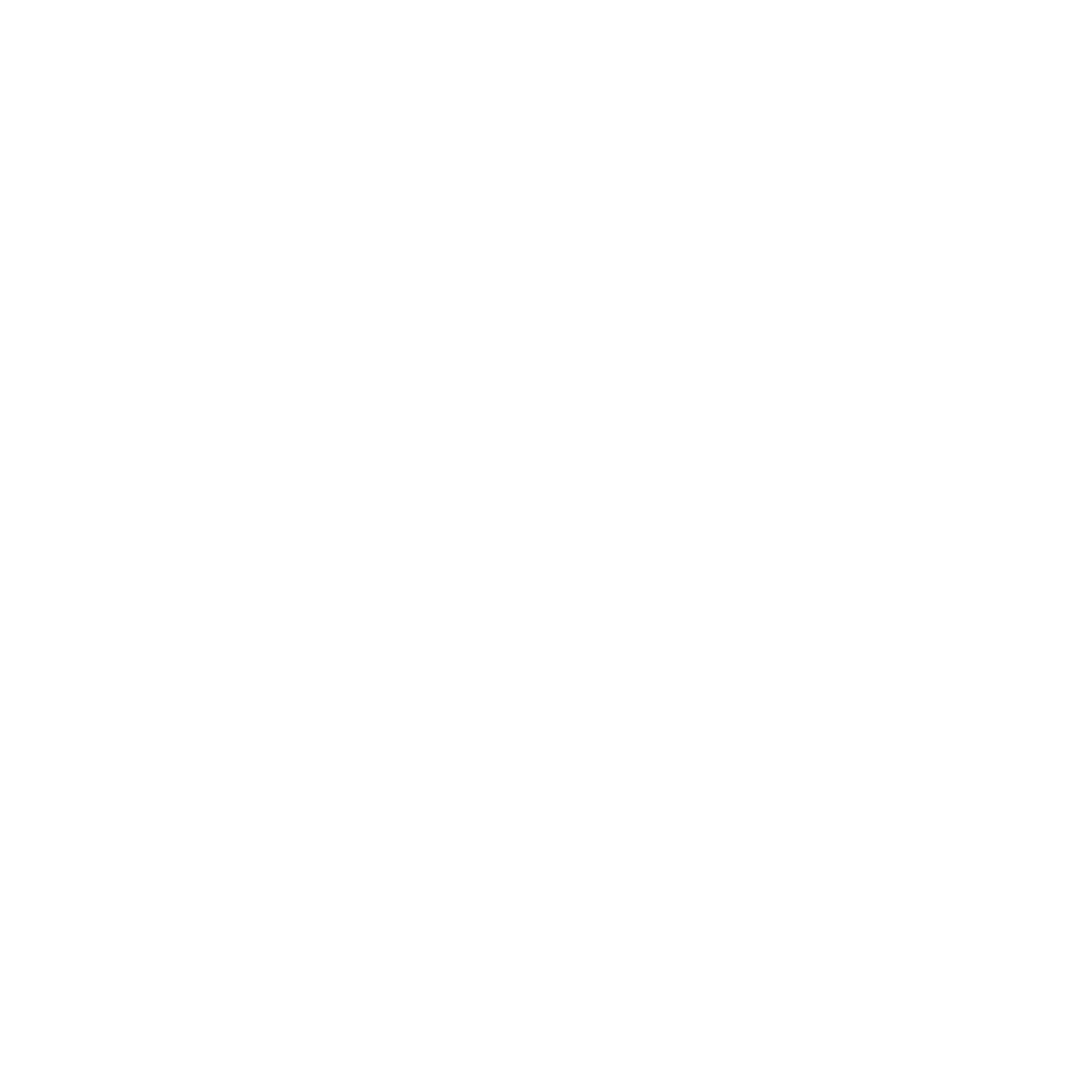 Copy of AMN Plumbing LOGO white font e1757963150338